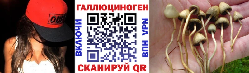 Купить закладки  Салаир  Галлюциногенные грибы MAGIC MUSHROOMS 